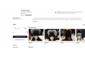 From Etsy to Arctic Store: The Journey of FurForSale