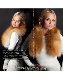 Classic collar, gold fox