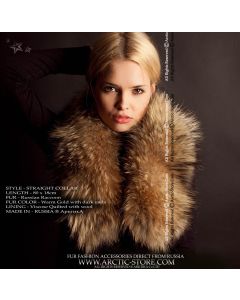 Classic collar, Russian raccoon