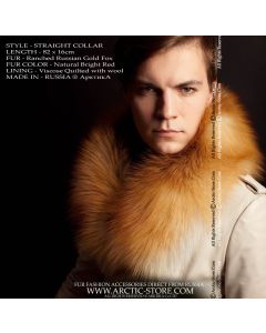 Men's fur collar, gold fox