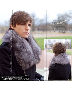 Men's collar, silver/grey fox