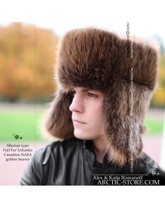 Siberian ushanka, Golden beaver