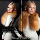 Classic collar, gold fox