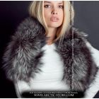 Classic collar, silver fox