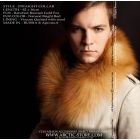 Men's fur collar, gold fox
