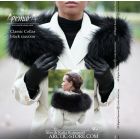 Classic collar, black raccoon