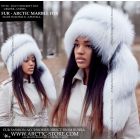 Davy Crockett, Arctic marble fox