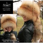 Davy Crockett, gold fox