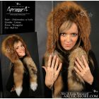 Eskimoska with tails, red fox